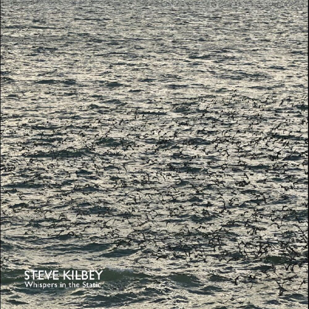 Steve Kilbey - Whispers In The Static  LP LP